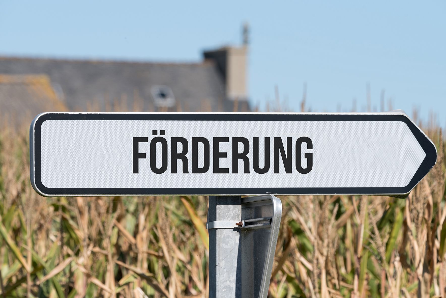 Förderung s